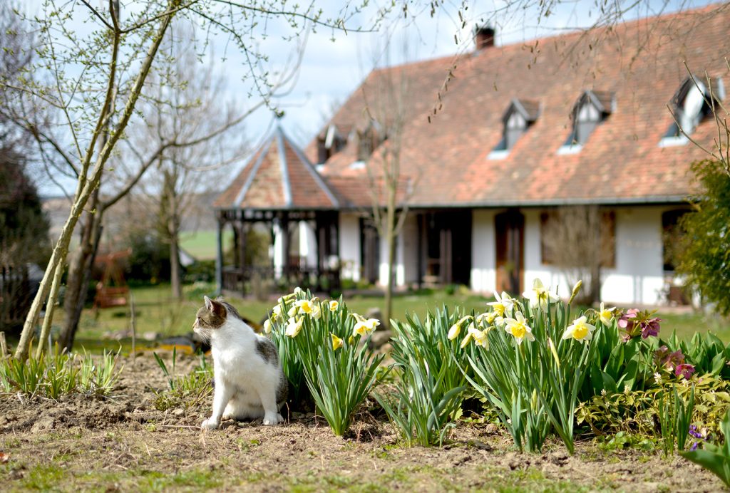 LillaLulla Vendégház